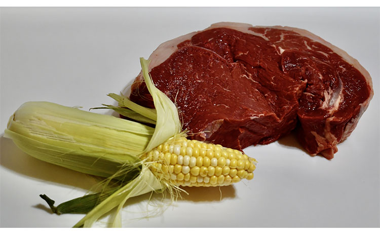 Arm Roast